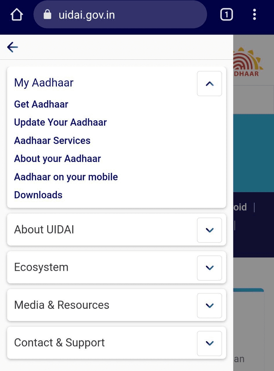 Aadhaar Card Usage History