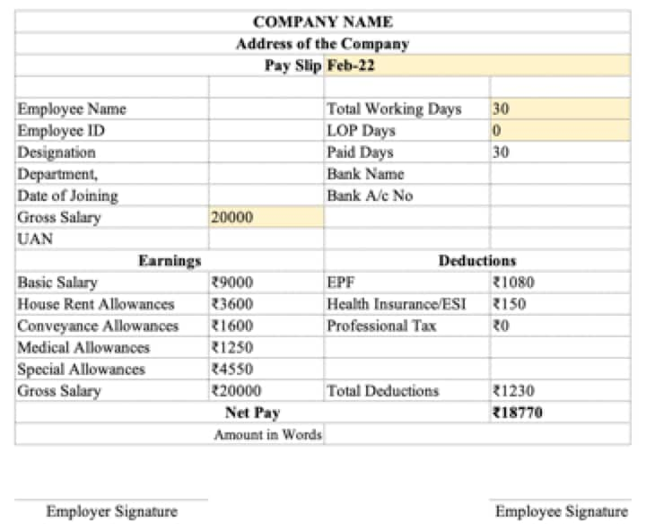 pay slip sample