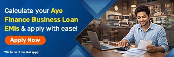 Aye Finance Business Loan