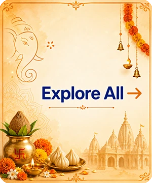 Explore Best Insurance Deals