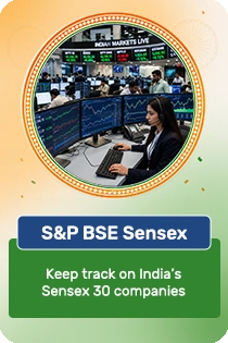 S&P BSE Sensex